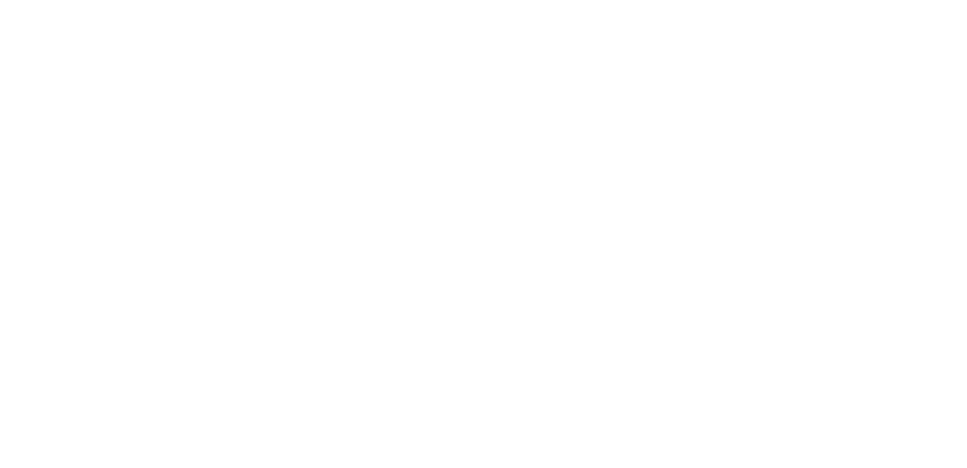 Carizon.png