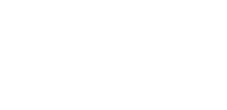 奇瑞iCAR.png