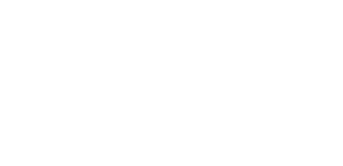 元戎启行.png
